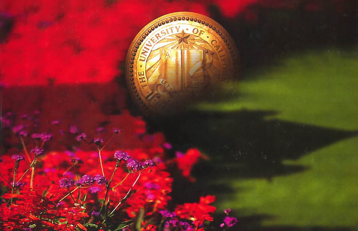 cover of UC Berkeley Extension - Summer 2003 courses